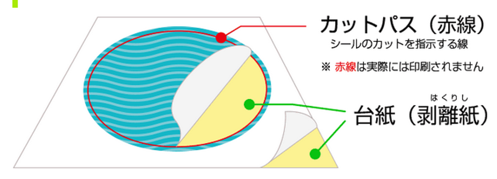 「カットパス」とは？